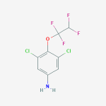 104147-32-2 | 3,5-Dichloro-4-(1,1,2,2-tetrafluoroethoxy)aniline