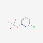 1221171-70-5 | 2-Chloro-6-(trifluoromethoxy)pyridine